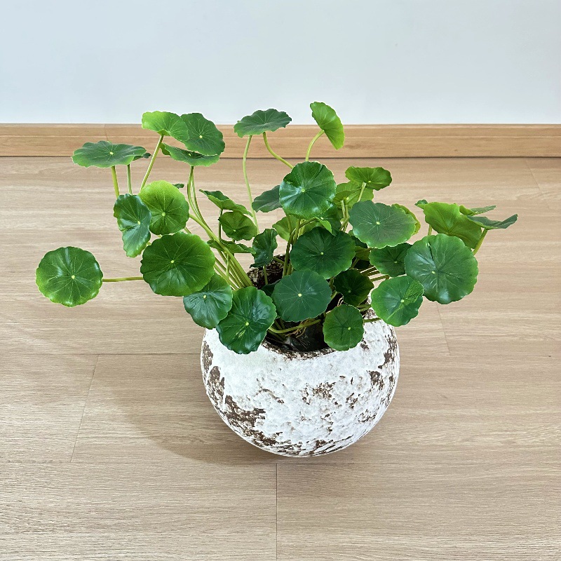 Pilea Peperomioides - 2 Stück künstliche Pilea Peperomioides Bonsai-Kunstblätter