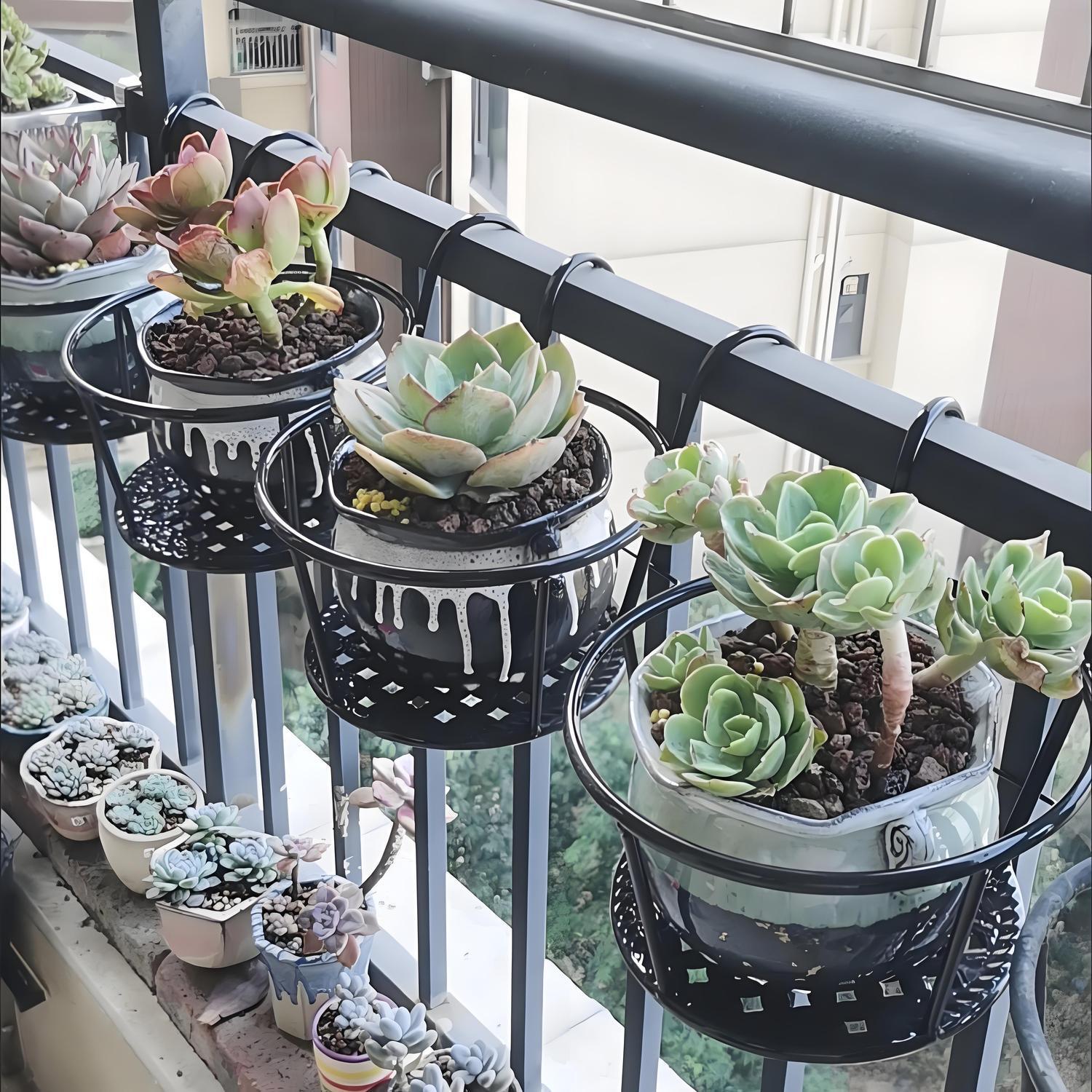Schmiedeeiserner Balkon-Hängek – Spider Plant Hanging Bewertung und Preis