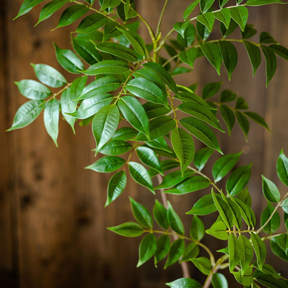76–140 cm großer künstlicher F – Ficus Lyrata Tree Bewertung und Preis
