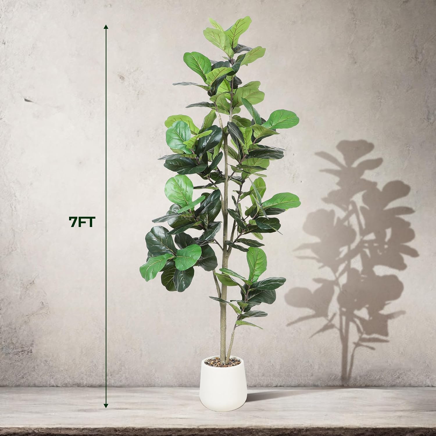 2,13m Künstlicher Ficus Lyrata – Ficus Lyrata Tree Bewertung und Preis