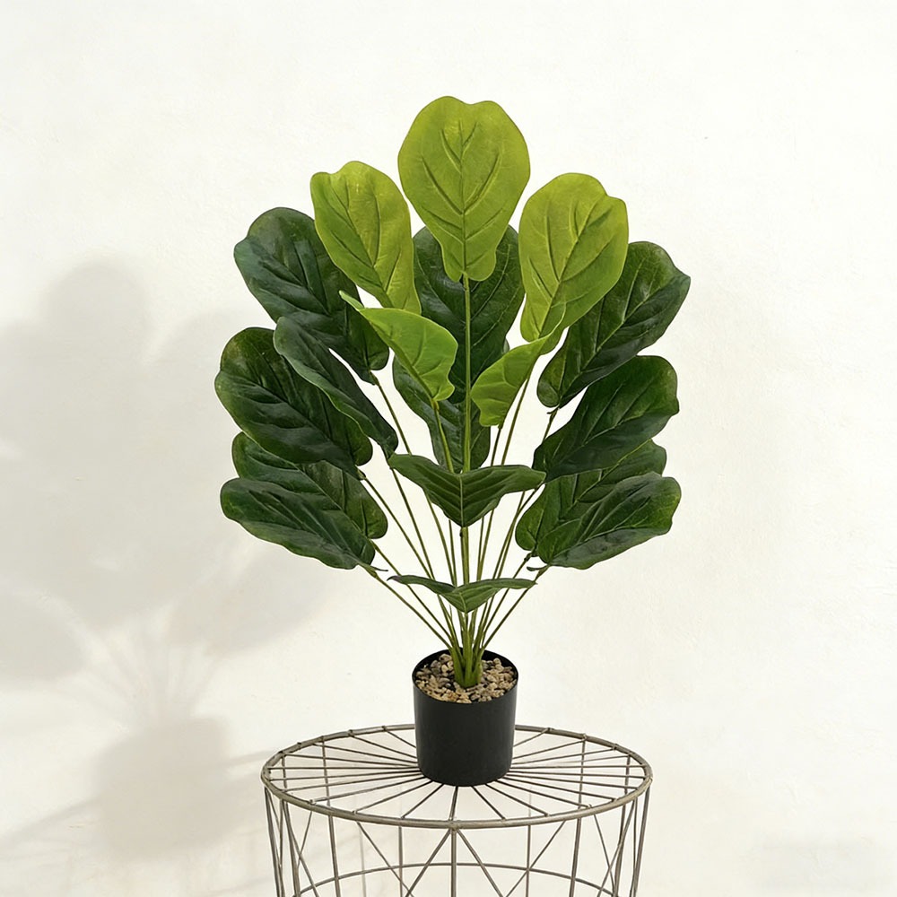 1 Stück 75cm Künstlicher Ficus – Ficus Lyrata Tree Bewertung und Preis