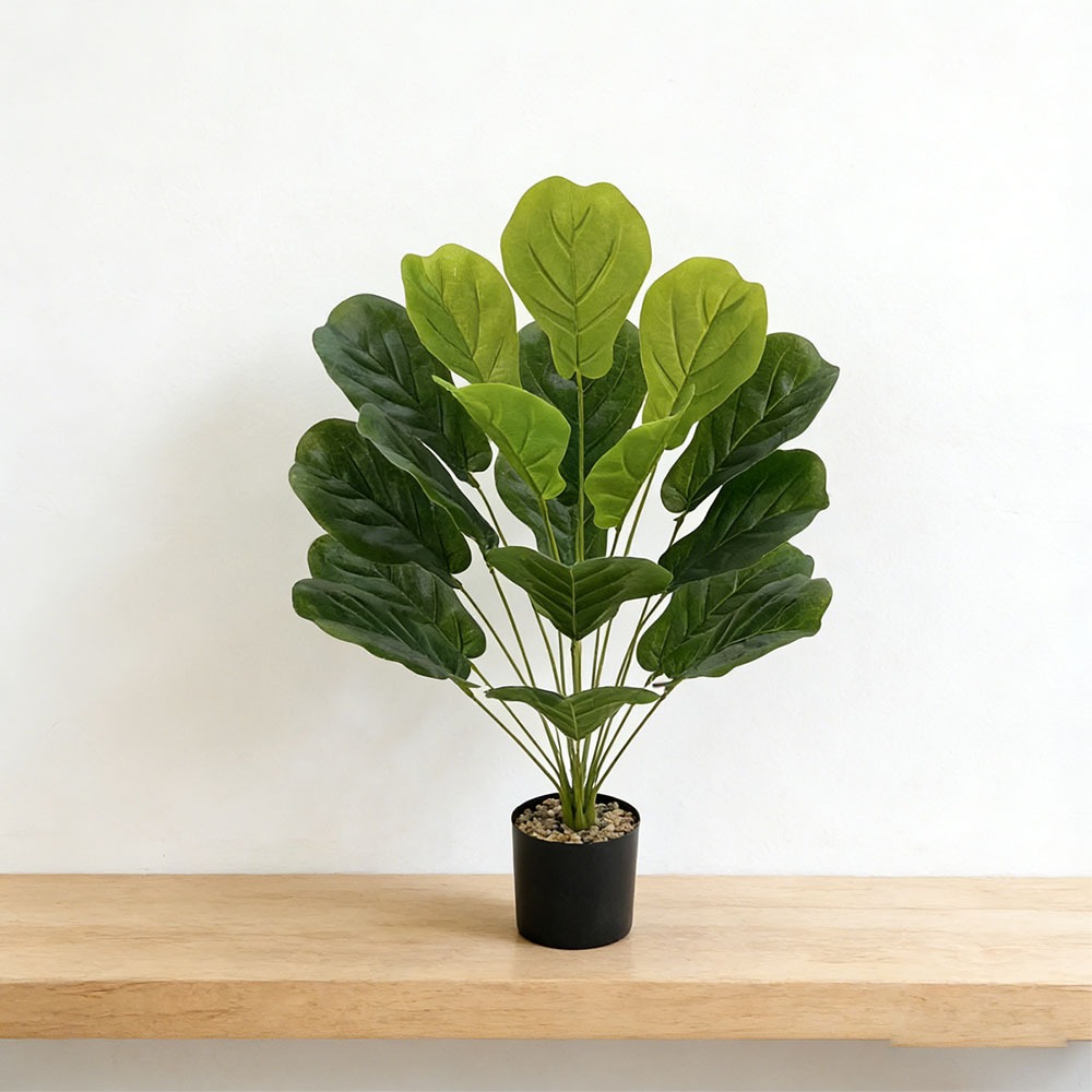 1 Stück 75cm Künstlicher Ficus – Ficus Lyrata Tree Bewertung und Preis