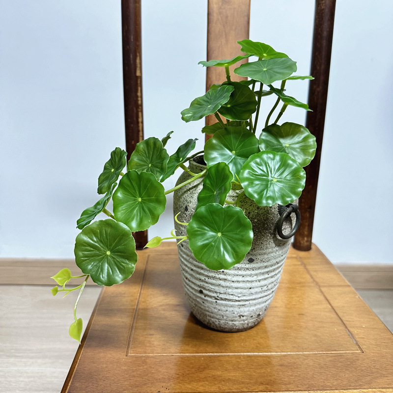 2 Stück künstliche Pilea Peper – Pilea Peperomioides Bewertung und Preis