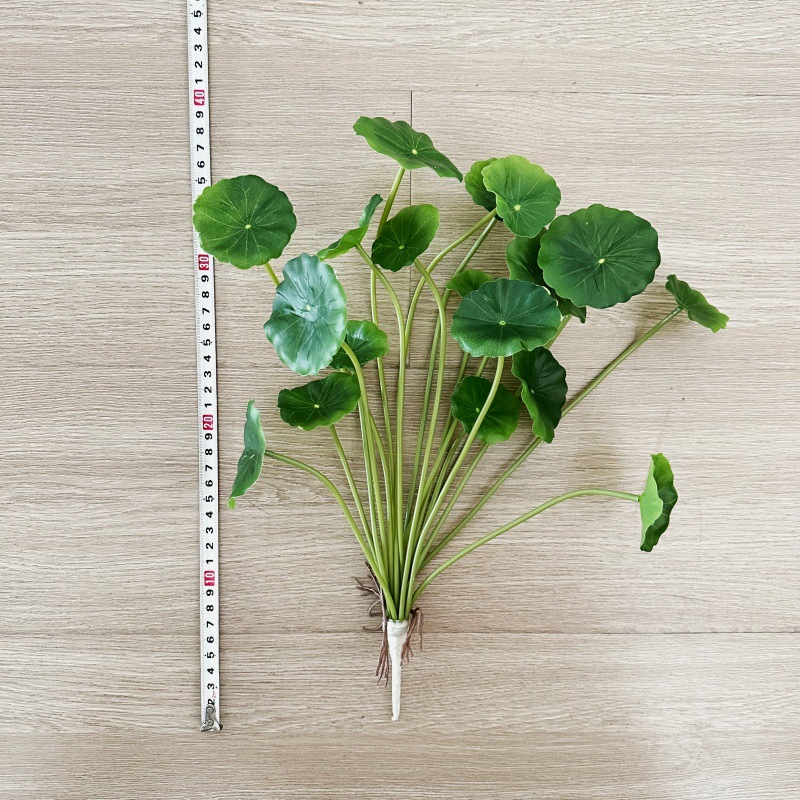 2 Stück künstliche Pilea Peper – Pilea Peperomioides Bewertung und Preis