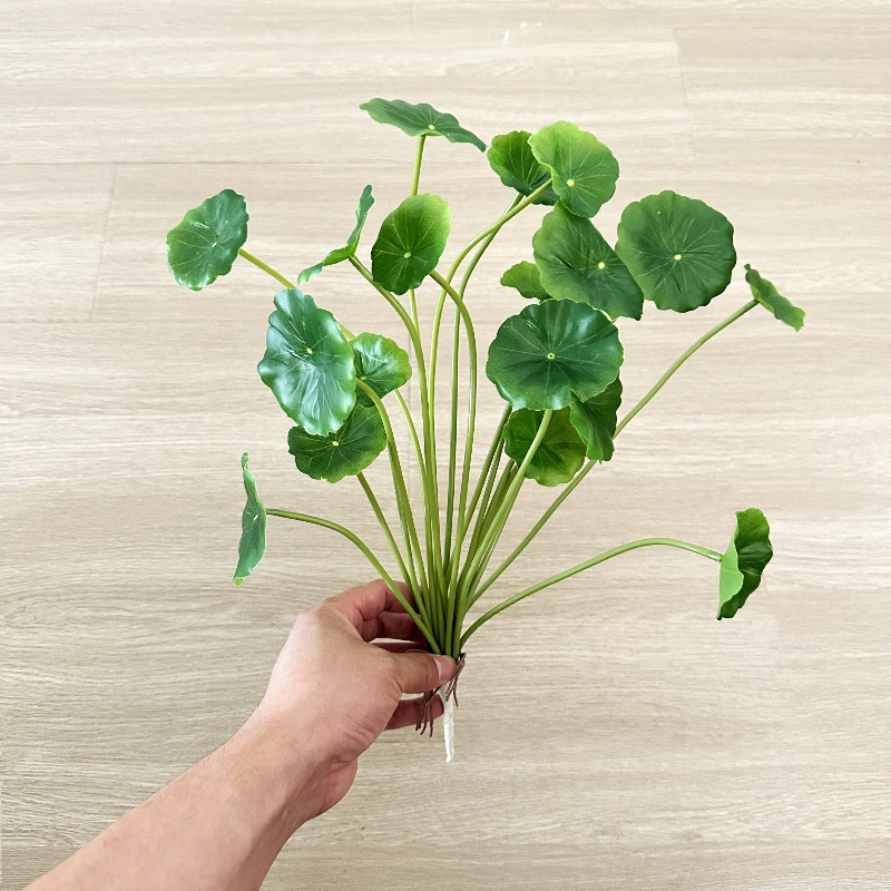 2 Stück künstliche Pilea Peper – Pilea Peperomioides Bewertung und Preis
